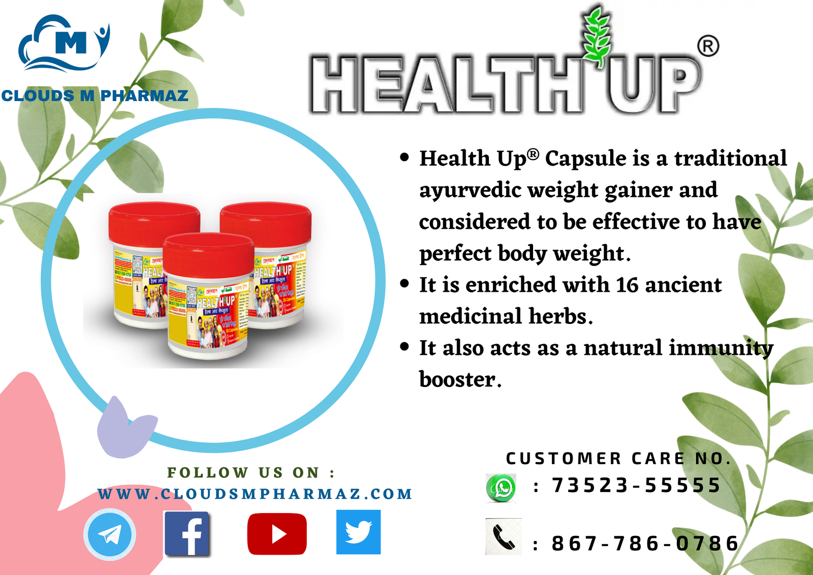 Read more about the article INGREDIENTS USED IN HEALTH UP® CAPSULE